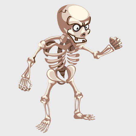 Human skeleton closeup with eyes in cartoon style, vector illustrationのイラスト素材