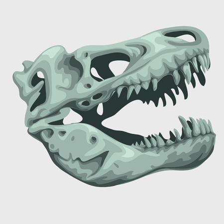 Fossilized head of a giant animal, vector iconのイラスト素材