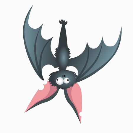 Grey funny bat upside down in cartoon style, vector mammalのイラスト素材