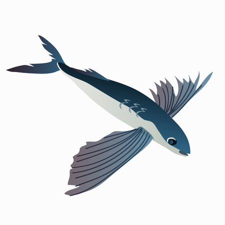 Flying fish in cartoon style on white background. Vector illustrationのイラスト素材