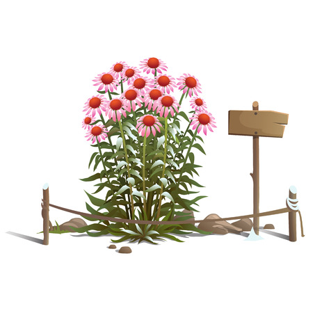 Blooming flowers in the ground, fence and sign. Vector compositionのイラスト素材