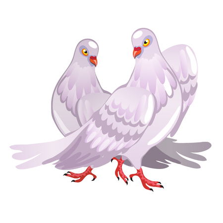 Two pink pigeon. Symbol of love. Isolated vectorのイラスト素材