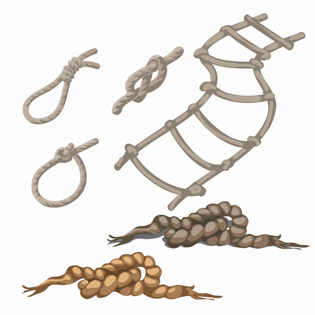 Set of rope elements, ladder, lasso, knots, loop, six items in cartoon styleのイラスト素材