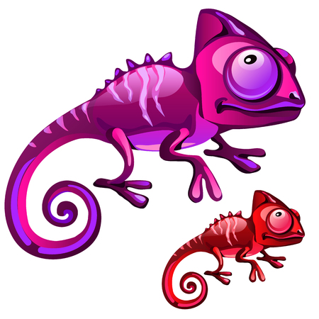 Two cartoon iguanas in red and purple color, vector isolatedのイラスト素材