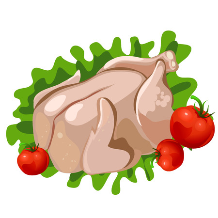 Chicken with lettuce and tomatoes ready for cooking, image on white background, vector food isolatedのイラスト素材