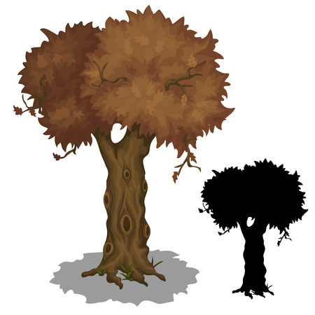 Drying old tree and its black silhouette on a white background. Vector illustration for your design needsのイラスト素材