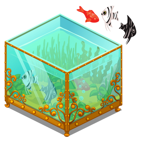 Aquarium with Golden patterns and exotic fish. Vector illustration on white backgroundのイラスト素材