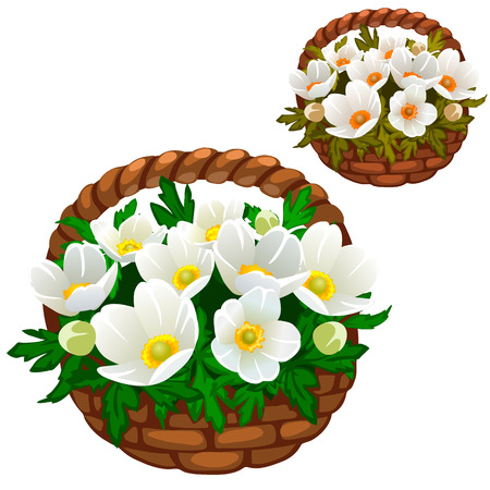 Beautiful bouquet of white flowers in straw basket. Vector illustration for your design needsのイラスト素材