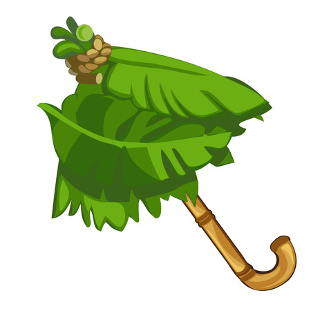 Umbrella made of bamboo and palm leavesのイラスト素材