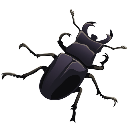 Black beetle stag on a white backgroun. Vector illustration isolated on white backgroundの写真素材