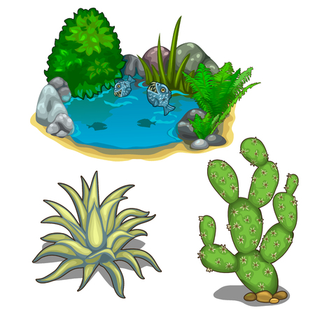 Pond with piranhas, cactus, plants and stonesのイラスト素材