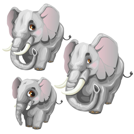 Three vector cartoon elephant on white backgroundのイラスト素材
