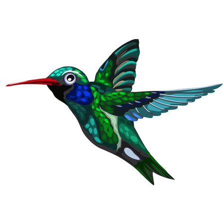 Flying green-blue bird Hummingbird. Colibriのイラスト素材