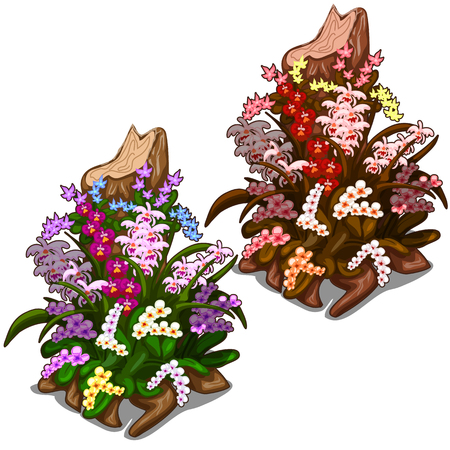Two old stump overgrown with colourful wild flowers. Image in cartoon style on white background. Concept of decorating for your design needs. Illustration isolatedのイラスト素材