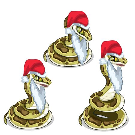 Snake in cap and beard of Santa Claus. Vectorのイラスト素材