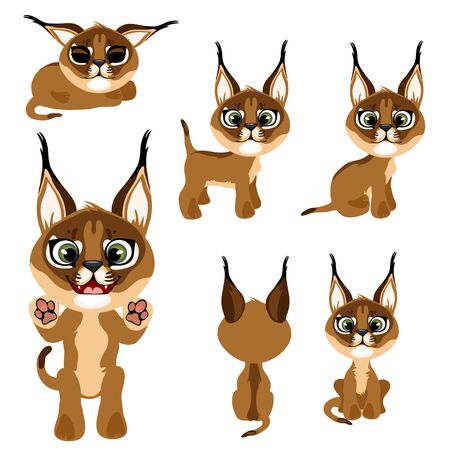 Cartoon brown kitten or lynx in different poses.のイラスト素材