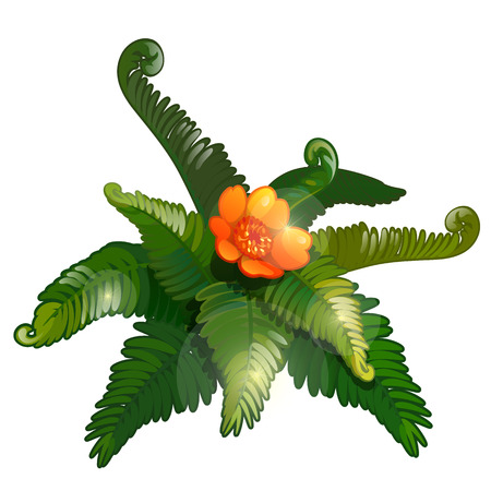 Fabulous exotic flower with large palm leaves and glowing orange bud. Vector plant in cartoon style. Illustration isolated on white backgroundのイラスト素材