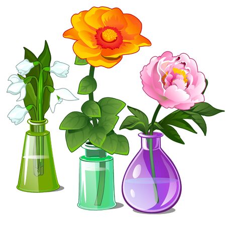 Snowdrop, peonies and zinnias in glass vasesのイラスト素材
