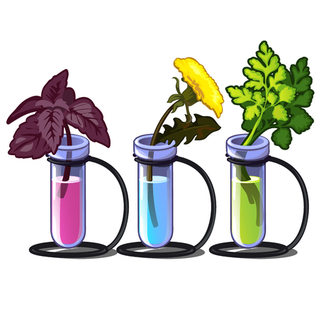 Plants in tubes with different liquid.のイラスト素材