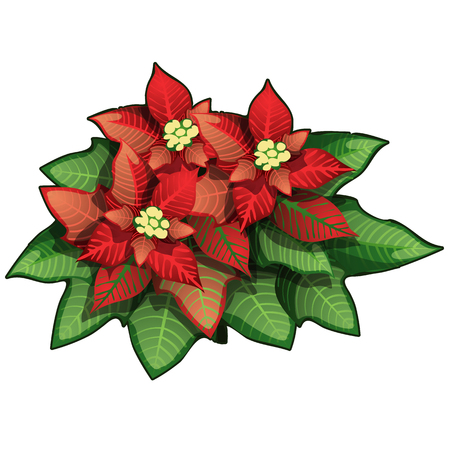 Red flowers with green leaves. Vector Illustration in cartoon style isolated on whiteのイラスト素材