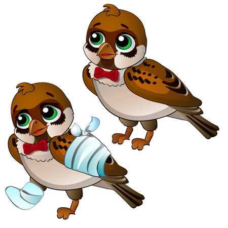 Healthy and diseased sparrow isolated on white background. Vector cartoon close-up illustration.のイラスト素材