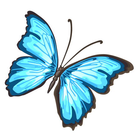 Cartoon butterfly with blue wings isolated on white background. Cartoon vector close-up illustration.のイラスト素材