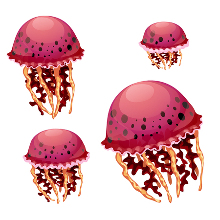 Set of red jellyfish isolated on a white background. Vector cartoon close-up illustration.のイラスト素材