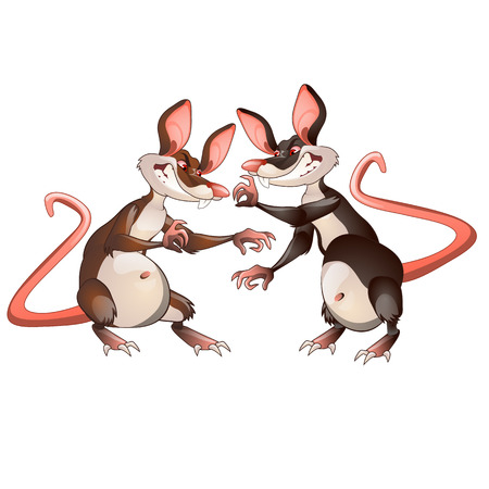 Two evil animated mouse fighting each other isolated on a white background. Vector illustrationのイラスト素材