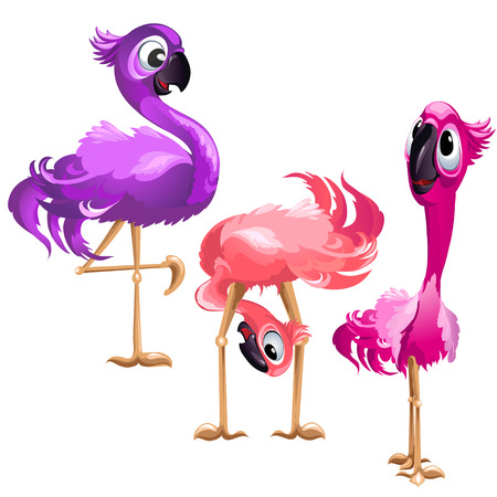 Three funny Flamingo isolated on white background. Vector cartoon close-up illustrationのイラスト素材