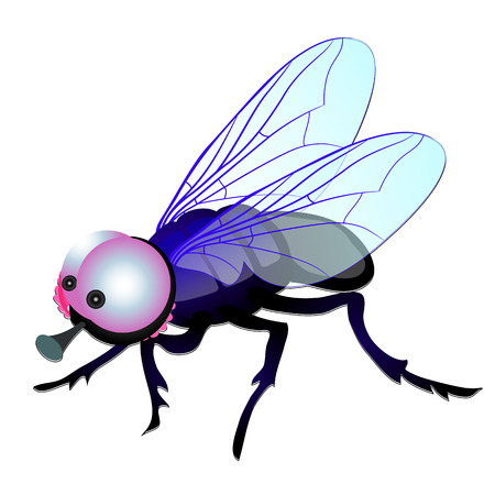 Funny fly with big eyes isolated on white background. Vector cartoon close-up illustrationのイラスト素材