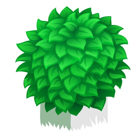 Compact rounded shrub isolated on white background. Vector cartoon close-up illustrationのイラスト素材