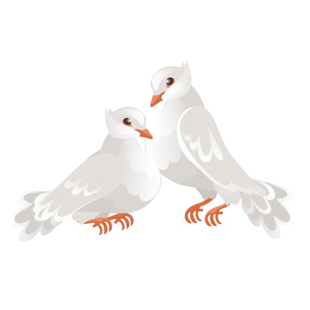 Two wedding doves isolated on whiteのイラスト素材