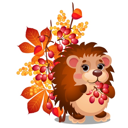 Cheerful smiling hedgehog eats ripe berries of viburnum and autumn leaves isolated on white background. Vector cartoon close-up illustrationのイラスト素材