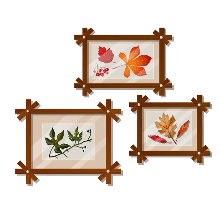 A set of wall-mounted compositions with autumn dried leaves isolated on white background. Vector cartoon close-up illustrationのイラスト素材