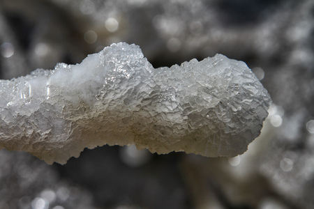 Wooden stick covered with salt at the dead sea shoreの写真素材