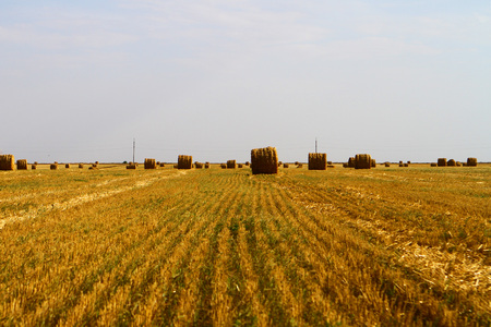 Bale on a stubble field in the summer on sunsetの写真素材