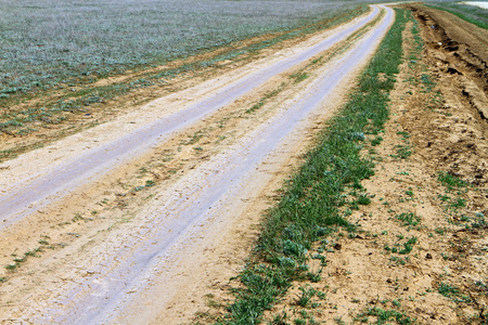 Unpaved dry dirt country road in spring steppe, offroad driveの写真素材