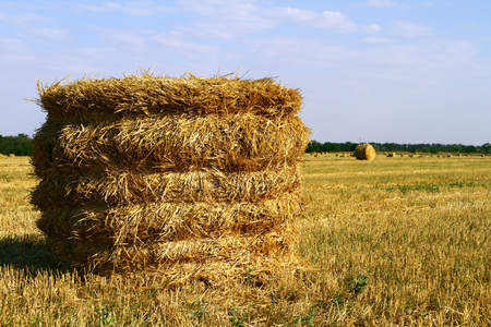 Dry hay bale on green meadow, autumn, blue skyの写真素材