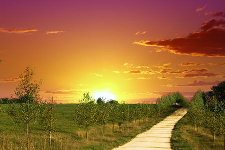 Yellow sand lane in countryside, green meadow on red sunset sky with cloudsの写真素材