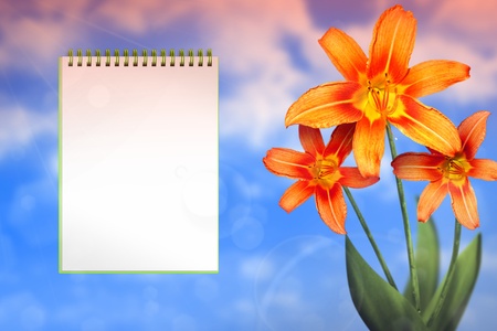 Beautiful live lily on sunny day with notebook with blank place for your content on cloudy sky background.の写真素材