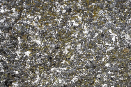 Pretty red creative grungy lichen on boulder texture - abstract photo backgroundの写真素材