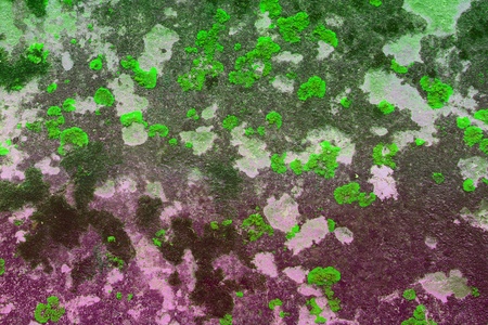 fantastic old messy mossy rock texture - abstract photo backgroundの写真素材