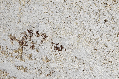 nice vintage decorative stucco texture for any purposes.