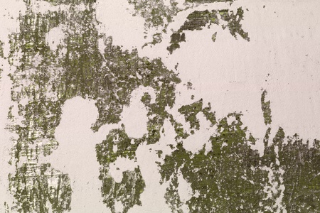 nice lime huge weathered cracks on paint on panel texture - abstract photo backgroundの写真素材