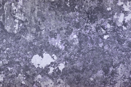 cute purple old rough lichen on stone texture - abstract photo backgroundの写真素材