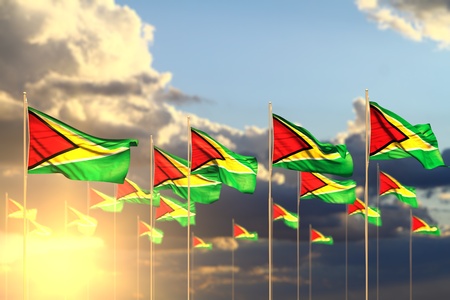 nice any occasion flag 3d illustration - many Guyana flags on sunset placed in row with selective...