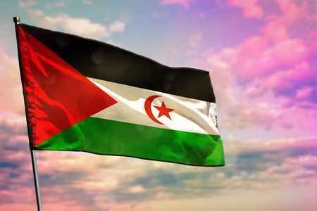 Fluttering Western Sahara flag on colorful cloudy sky background. Western Sahara prospering concept.
