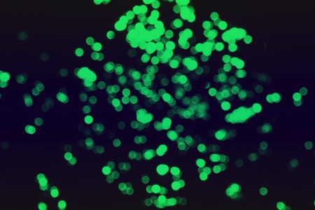 nice green bokeh effect of sparkling sparks on black texture - abstract photo background