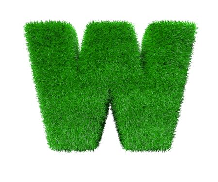 Nature concept - letter W made of green foliage isolated on white background - 3D illustration of symbolsの写真素材