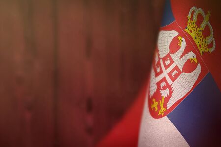Serbia hanging flag for honour of veterans day or memorial day on red blurred natural wood wall background. Serbia glory to the heroes of war concept.の写真素材